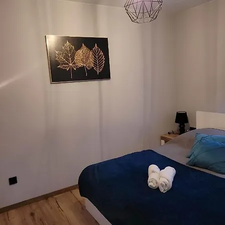 דירה Szary ינוביצה ויילקיה