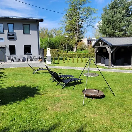 Szary * ינוביצה ויילקיה