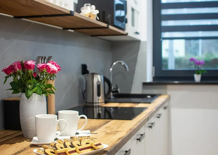 Apartment Szary Janowice Wielkie